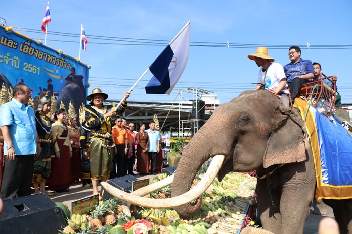 Thai and foreign tourists in Surin Province fed more than 160 elephants, buffet-style, with tons of food that came in various kinds last week.
