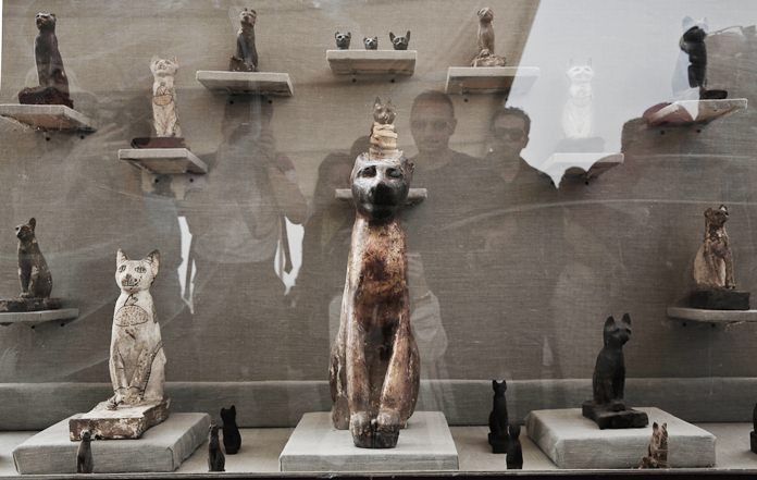 Cat statues on display, at an ancient necropolis near Egypt’s famed pyramids in Saqqara, Giza, Egypt, Saturday, Nov. 10, 2018. A top Egyptian antiquities official says local archaeologists have discovered seven Pharaonic Age tombs near the capital Cairo containing dozens of cat mummies along with wooden statues depicting other animals. (AP Photo/Nariman El-Mofty)
