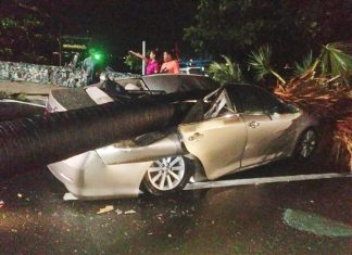 Car damaged by fallen tree