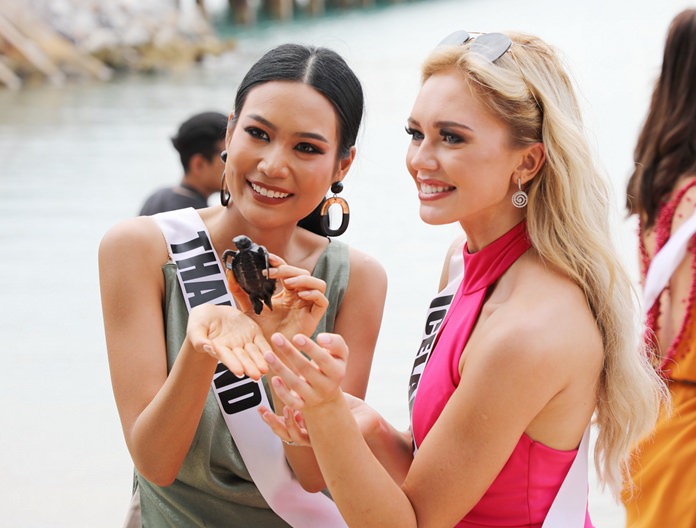 Miss Thailand Universe Sopita Kanchanarin (left) and Miss Iceland Universe Katrín Lea Elenudóttir (right) pose with a young turtle at the Sea Turtle Conservation Center in Bang Saray. Contestants in the Miss Universe pageant took a whirlwind tour through the Pattaya area, including a visit to the center where they released 20 endangered turtles into the sea, before next week’s final round outside Bangkok. 