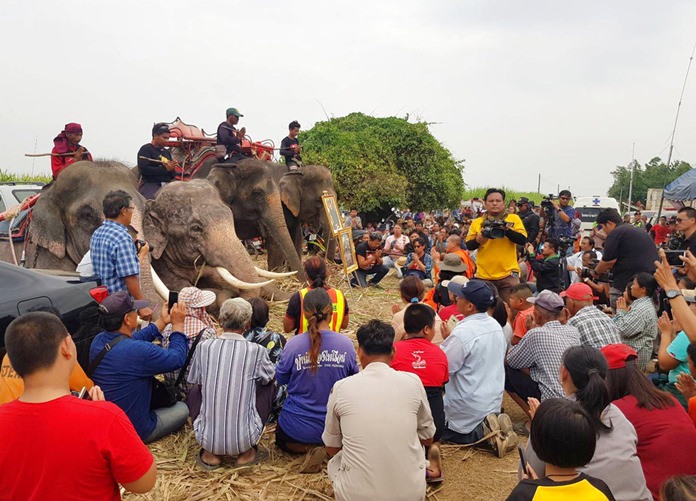 In this Sunday, Dec. 23, photo, four mahouts and their elephants attend a prayer session with rescue workers and officials before joining the search operation for the missing toddler in Suphan Buri province. (Suphan Buri City via AP)