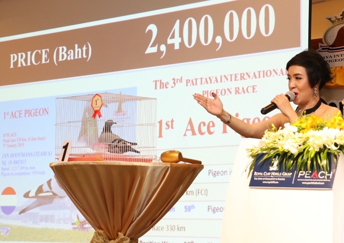 Top ranked pigeons were auctioned off for top dollar.