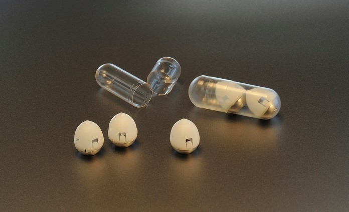 This undated photo provided by researchers in February 2019 shows the components of swallowable self-righting device which can inject drugs from inside the stomach. (Felice Frankel via AP)