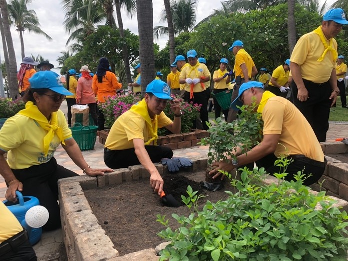 Pattaya residents led by royal volunteers and city officials planted trees and cleaned parks and canals to honor HM the King on his 67th birthday.