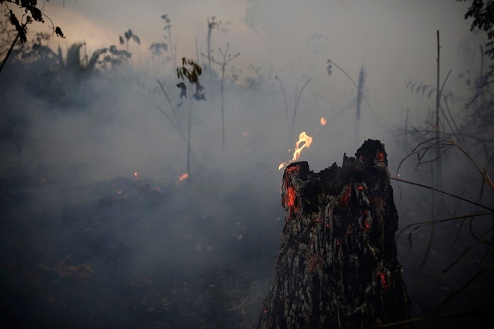 A tree stump glows with fire amid smoke along the road to Jacunda National Forest, near the city of Porto Velho in the Vila Nova Samuel region which is part of Brazil’s Amazon, Monday, Aug. 26, 2019. Can you save the rainforest from your desk? A spike in downloads for a search engine that’s contributing profits to planting trees shows people are looking for ways to help as fires rage across the Brazilian Amazon. (AP Photo/Eraldo Peres)