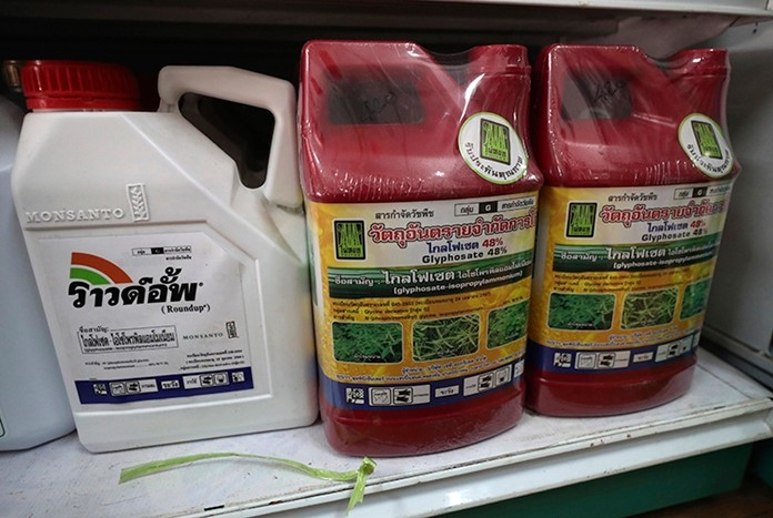 In this Friday, Oct. 18, 2019, photo, containers of the herbicide glyphosate are for sale at a farm supply store in Nakhon Phanom Province, northeast Thailand. Thailand's government has agreed to ban the use of the herbicides paraquat and glyphosate and the insecticide chlorpyrifos, all widely regarded as dangerous to human health, starting Dec. 1. (AP Photo/Sakchai Lalit)