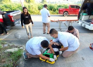 Motorist injured avoiding dog
