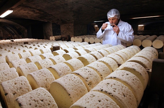 In this Jan. 21, 2009, file photo, Bernard Roques, a refiner of Societe company, smells a Roquefort cheese as they mature in a cellar in Roquefort, southwestern France. (AP Photo/Bob Edme, File)