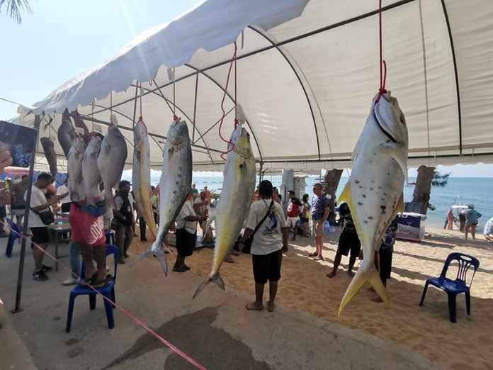 Anglers were rewarded for catching the most fish and the biggest stingray, shark, barracuda, snakefish and catfish.