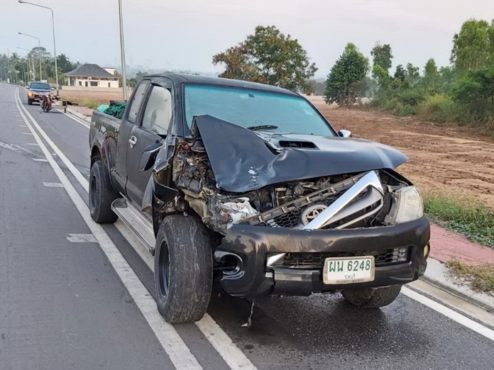 Runaway horse Ladinir, a filly about three years old, was killed when hit by this pickup in Sattahip.