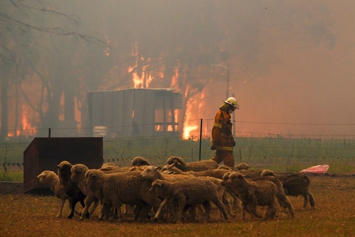 Rural Fire Service crew engage in property protection of a number of homes along the Old Hume Highway near the town of Tahmoor, New South Wales, as the Green Wattle Creek Fire threatens a number of communities in the southwest of Sydney, Thursday, Dec. 19, 2019. (Dean Lewins/AAP Images via AP)
