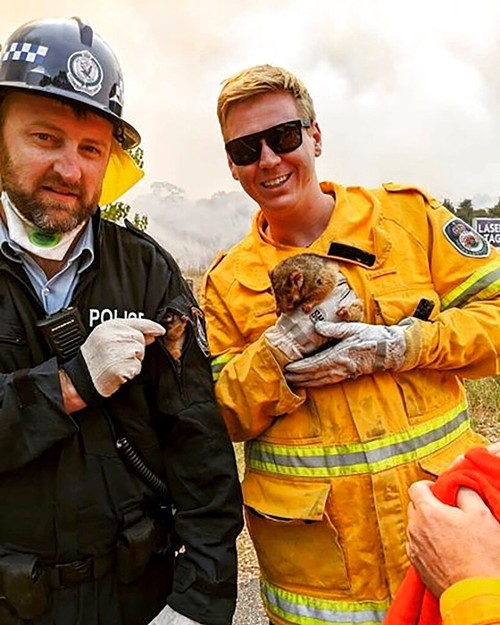 In this image dated Dec. 31, 2019, and provided by NSW Rural Fire Service via their twitter account, firefighter and police officer hold a possum and her baby after they rescued them under a car at a bushfire in Charmhaven, New South Wales.(Twitter@NSWRFS via AP)