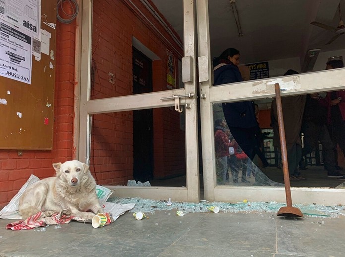 A dog rests next to shattered glass of a student hostel building after Sunday's assault by masked assailants at the Jawaharlal Nehru University in New Delhi, India, Monday, Jan. 6, 2020. (AP Photo/Emily Schmall)