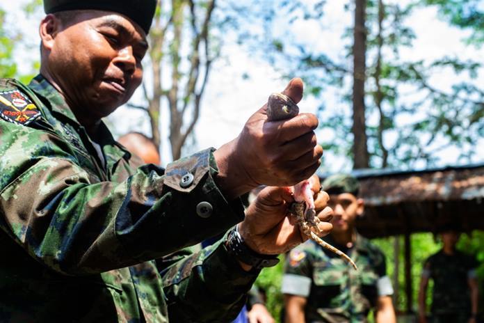 A Royal Thai Marine skins a lizard during jungle survival training at Camp Lotawin, Thailand, March 4, as part of exercise Cobra Gold 2020. (U.S. Marine Corps photo by Cpl. Isaac Cantrell)
