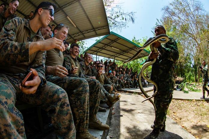 A Royal Thai Marine showcases two snakes to U.S. Marines with the 31st Marine Expeditionary Unit during jungle survival training at Camp Lotawin, March 4, as part of exercise Cobra Gold 2020. (U.S. Marine Corps photo by Cpl. Isaac Cantrell)
