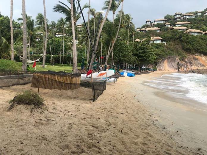 An enclosure was built to protect the eggs.