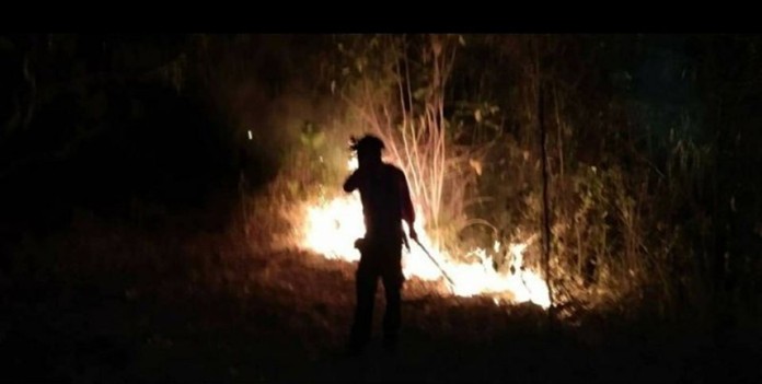 Wildfire spread through nine northern provinces, Wildlife Sanctuary in Kanchanaburi and the National Park in Uthai Thani are yet to be contained by the Royal Forest Department whose team had already lost three lives during the mission.