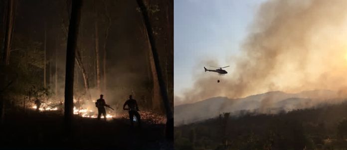 The forest fire situation in the nine northern provinces has started to improve, with the number of hot spots decreasing by about 50 percent.