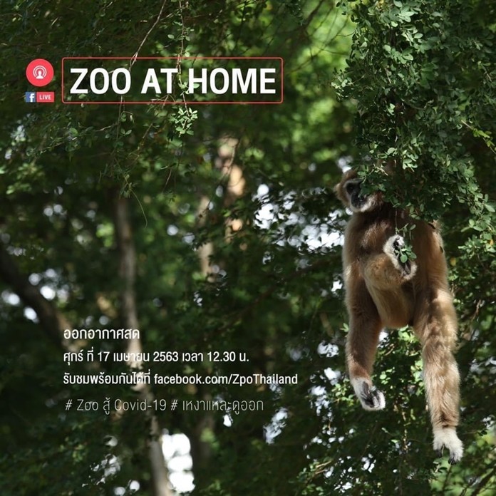 The Zoological Park Organization (ZPO) offers live streams of exhibit animals on its Facebook.