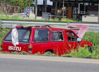 Thai Grandmother injured when husband can’t put truck in reverse