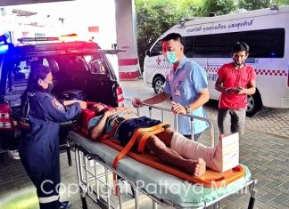 Burmese fisherman falls into ice crusher