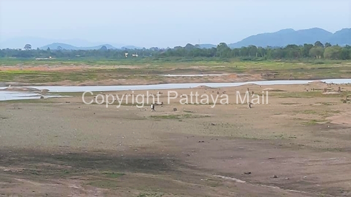 The water level in Mabprachan Lake on the east side of Pattaya City is critically low. People can be seen walking on the dried lakebed.