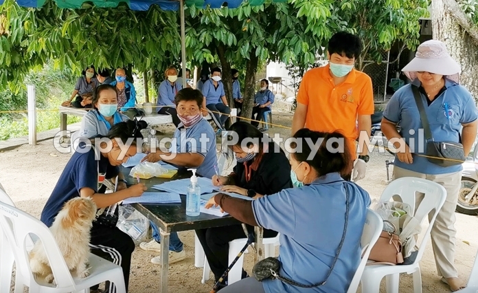 Nongprue provided free rabies vaccinations and sterilization services for pet owners, and caretakers of soi dogs.