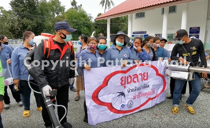 Dengue fever has made a comeback as the Pattaya area battled the coronavirus, but Nong Plalai officials are fighting back.