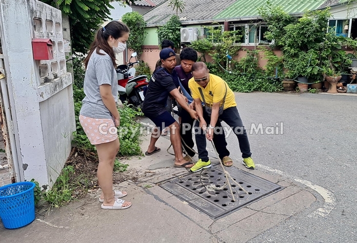 Neighbors hear the desperate cries from the baby chicks and spring into action,