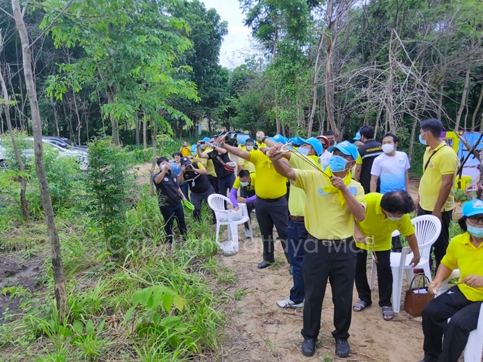 Officials and volunteers use sling shots to shoot Tamarind and Makha seeds deep into the forest where they will grow into big beautiful trees.