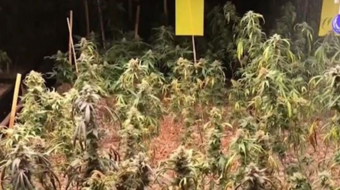 Bangkok police were tipped by unusually high electricity fee of the warehouse that went up to about 70,000 baht a month.