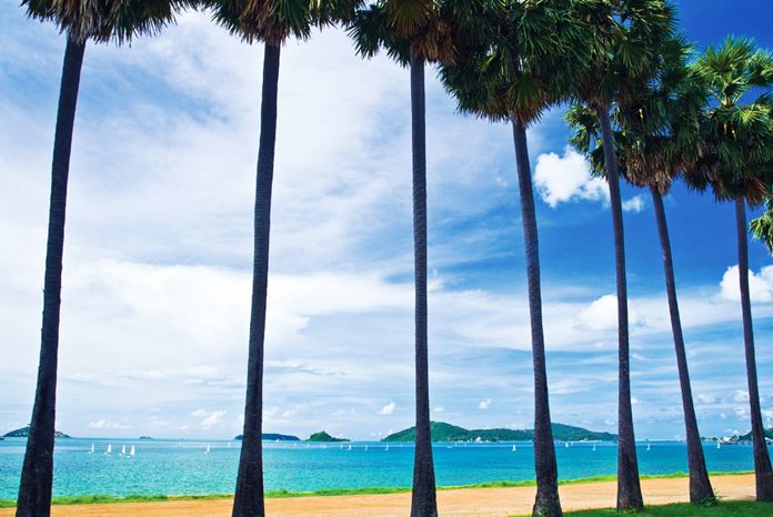 Ao Dong Tan (Palm Trees Bay)