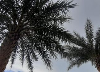 Pattaya cloudy with fairly widespread heavy rain and thunder strikes June 1-3