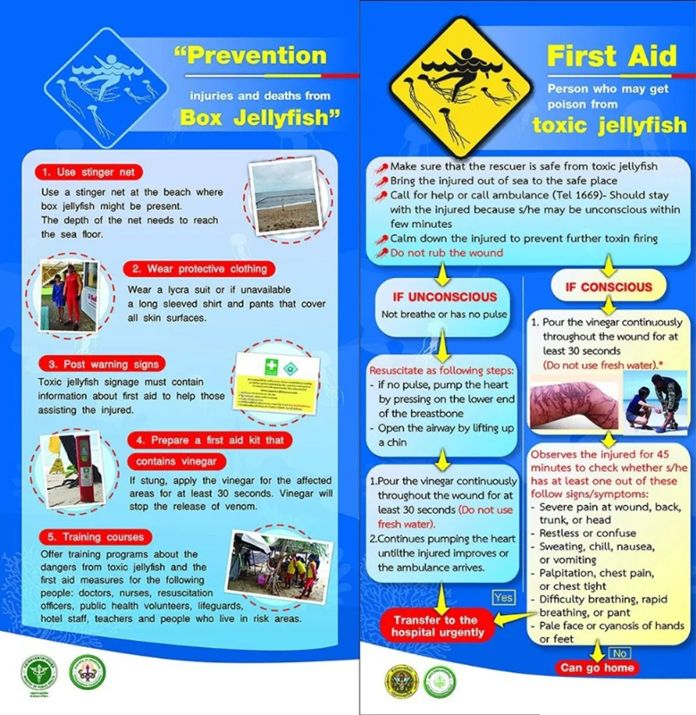 Prevention and First Aid treatment for jellyfish stings.