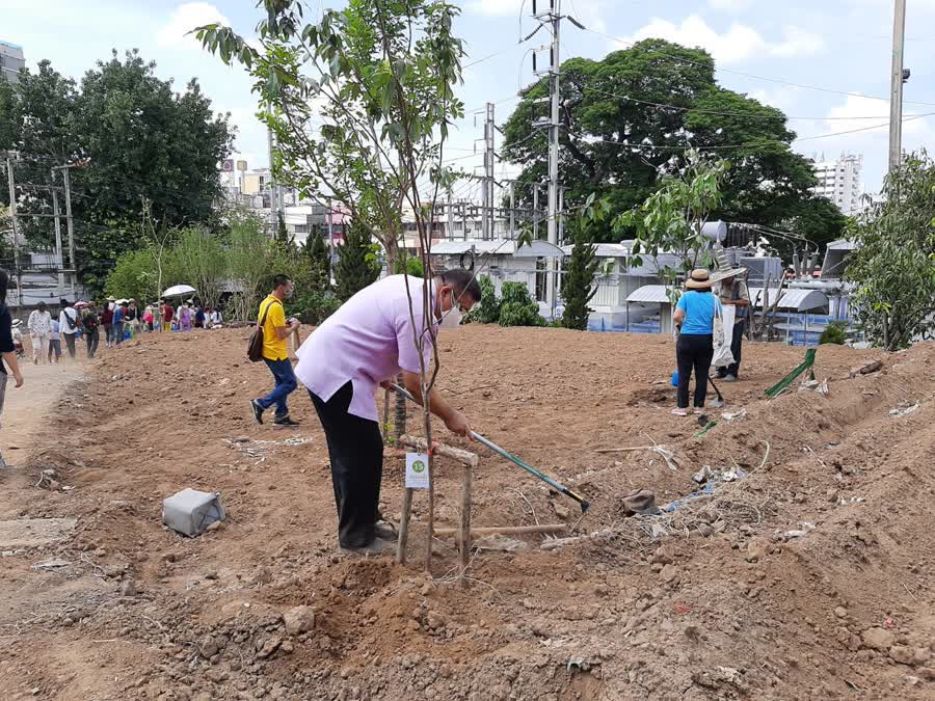 Twenty-two large auspicious trees were planted including White Champaka, Champak, iron wood, Pachira aquatic and yellow star.