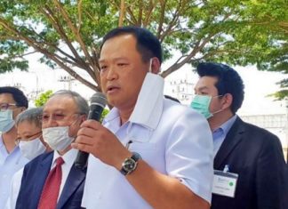 Thailand upbeat on domestic COVID-19 vaccine possibility