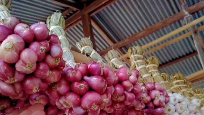 Shallots and garlic in Si Sa Ket province were known for their unique flavors and scents as they are grown in the land and weather conditions with the long-standing cultivation techniques of local farmers.