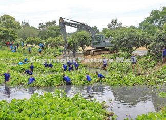 Thai Navy cleans Sattahip canal