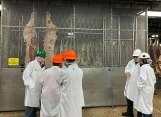 Thai Livestock raises strict control on imported meat