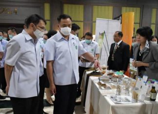 Thailand promotes hemp as new economic plant