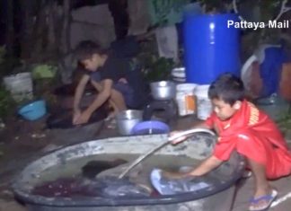 Abandoned preteen Thai boys become caretakers for infirm grandparents