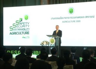 Thailand targeted as world’s food bank