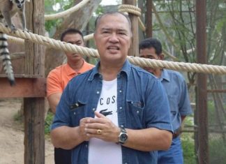 Thai Zoo Chief shot dead during Albino deer probe