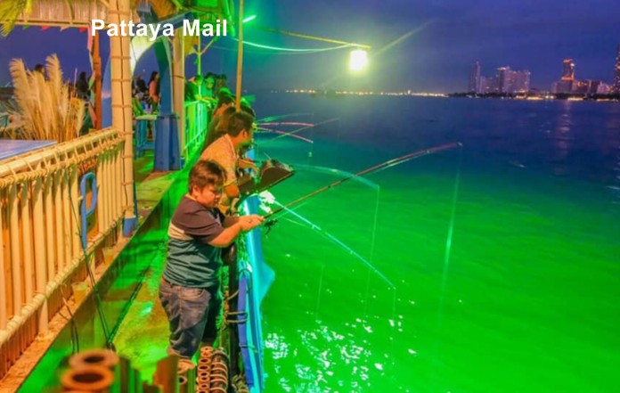 Pattaya tourists lured to squid fishing - Pattaya Mail