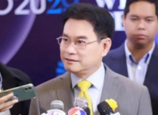 Thai Democrat Party supports constitutional amendments, charter drafting assembly