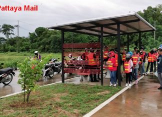 What Pattaya driving schools can offer the farang public