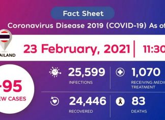 Thailand logs 95 new Coronavirus cases on Feb 23 while 1,070 being treated in hospitals