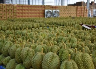 Thailand-China sign deal promoting Thai fruit export