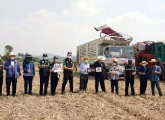 Thailand continues campaign against sugarcane field burning
