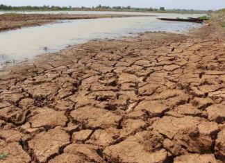 Thailand increases water reservoir efficiency in drought-hit northeastern region